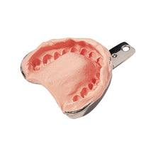 Cavex CA37 Alginate (Impression Material)