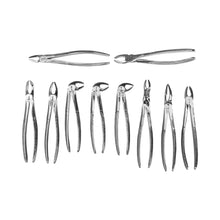 Tooth Extraction Forcep (Set Of 10)