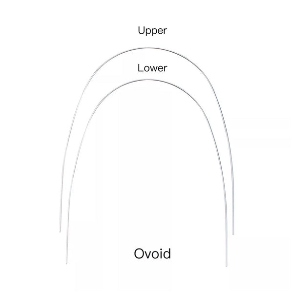 Nickel Titanium (Niti) Arch Wire